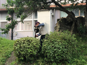 Szgf0669