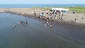 Dji_0039