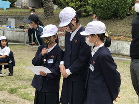 E5018539a36c4b5abe40ec7ebd150415