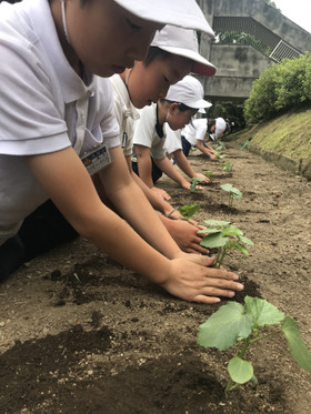 151d645c7c724a058cd0d8ce2e3610c1