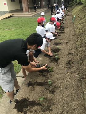 210f84e5e6014024ac4d5d226a72b37e