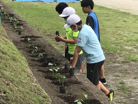 Bb3599d0ae034890b192a3281ed6944c