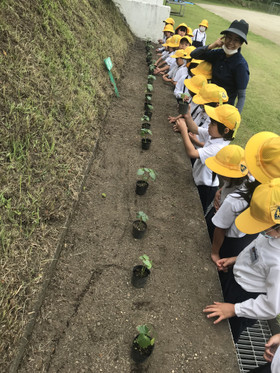 D1b22c5ffe7747c680e09dd88ce3b5c0