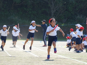 Dsc00310