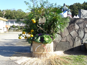 Dsc01241