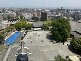 Photo_11