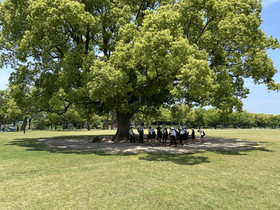 Photo_5