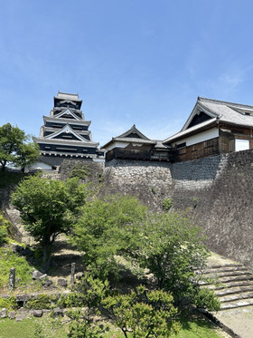 Photo_8