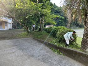 Img_4361 Img_4361