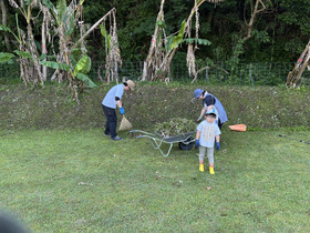 Img_4378 Img_4378