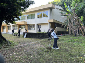 Img_4383 Img_4383