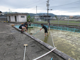 Img_0003 Img_0003