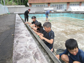 Img_0005 Img_0005