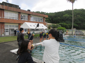 Img_0021 Img_0021