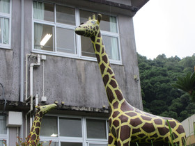Img_0004 Img_0004
