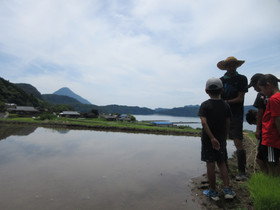 Img_0012 Img_0012