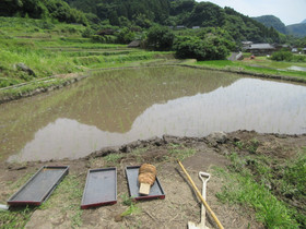 Img_0015 Img_0015