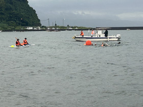 Img_4593 Img_4593