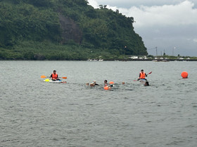 Img_4594 Img_4594