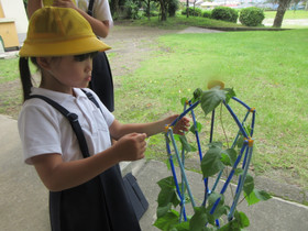 Img_0001_2
