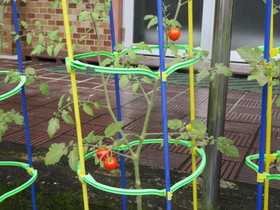 Img_0011 Img_0011