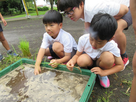 Img_0013 Img_0013