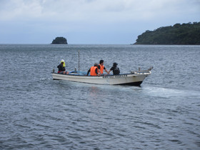 Img_0026 Img_0026