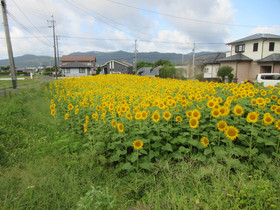 Img_0001 Img_0001