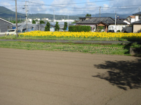 Img_0007 Img_0007