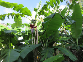 Img_0008 Img_0008