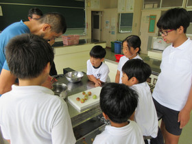 Img_0003 Img_0003