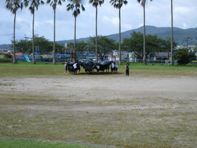 Img_0004 Img_0004