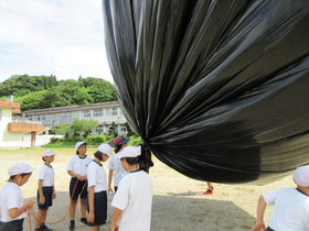 Img_0016 Img_0016
