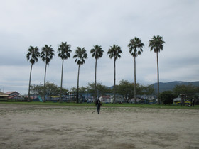 Img_0001 Img_0001