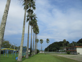 Img_0005_2 Img_0005_2