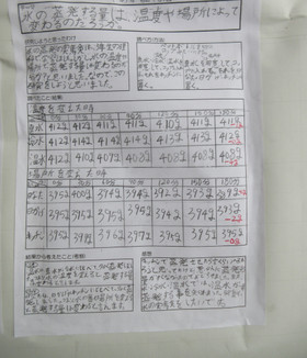 Img_00151 Img_00151
