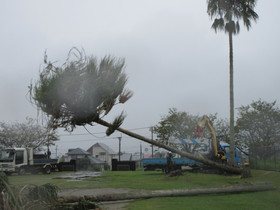 Img_0009 Img_0009