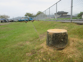 Img_0015 Img_0015
