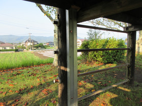 Img_0006 Img_0006