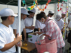 Img_0537 Img_0537