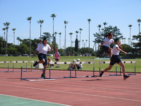 Img_0019 Img_0019