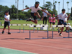 Img_0020 Img_0020