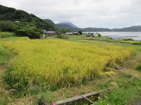 Img_0003 Img_0003