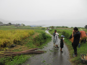 Img_0005 Img_0005