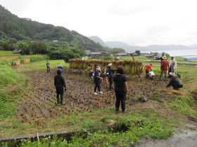 Img_0013 Img_0013