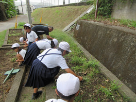 Img_0003_2 Img_0003_2
